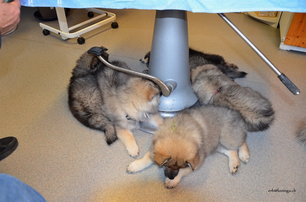 hier ist es sooo interessant