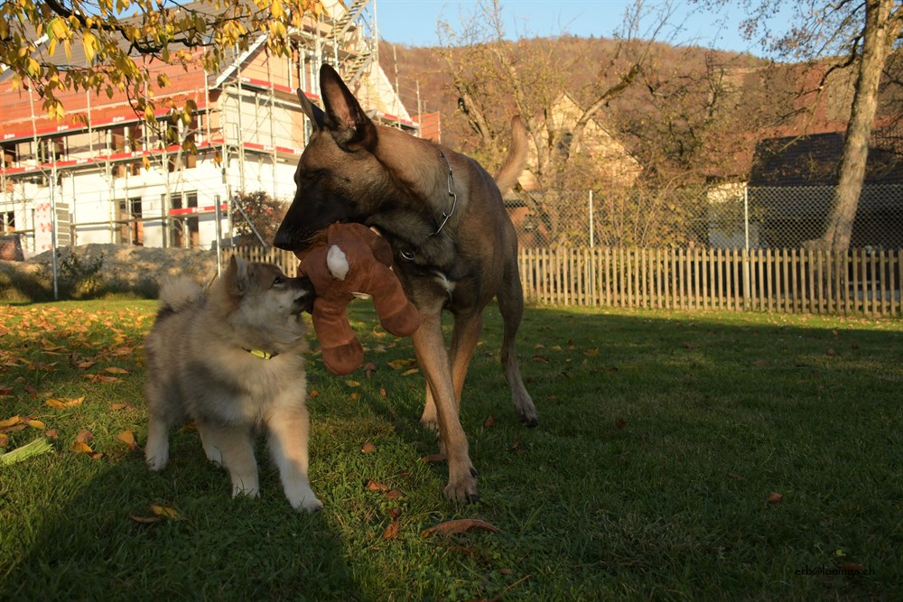 Spiel mit mir