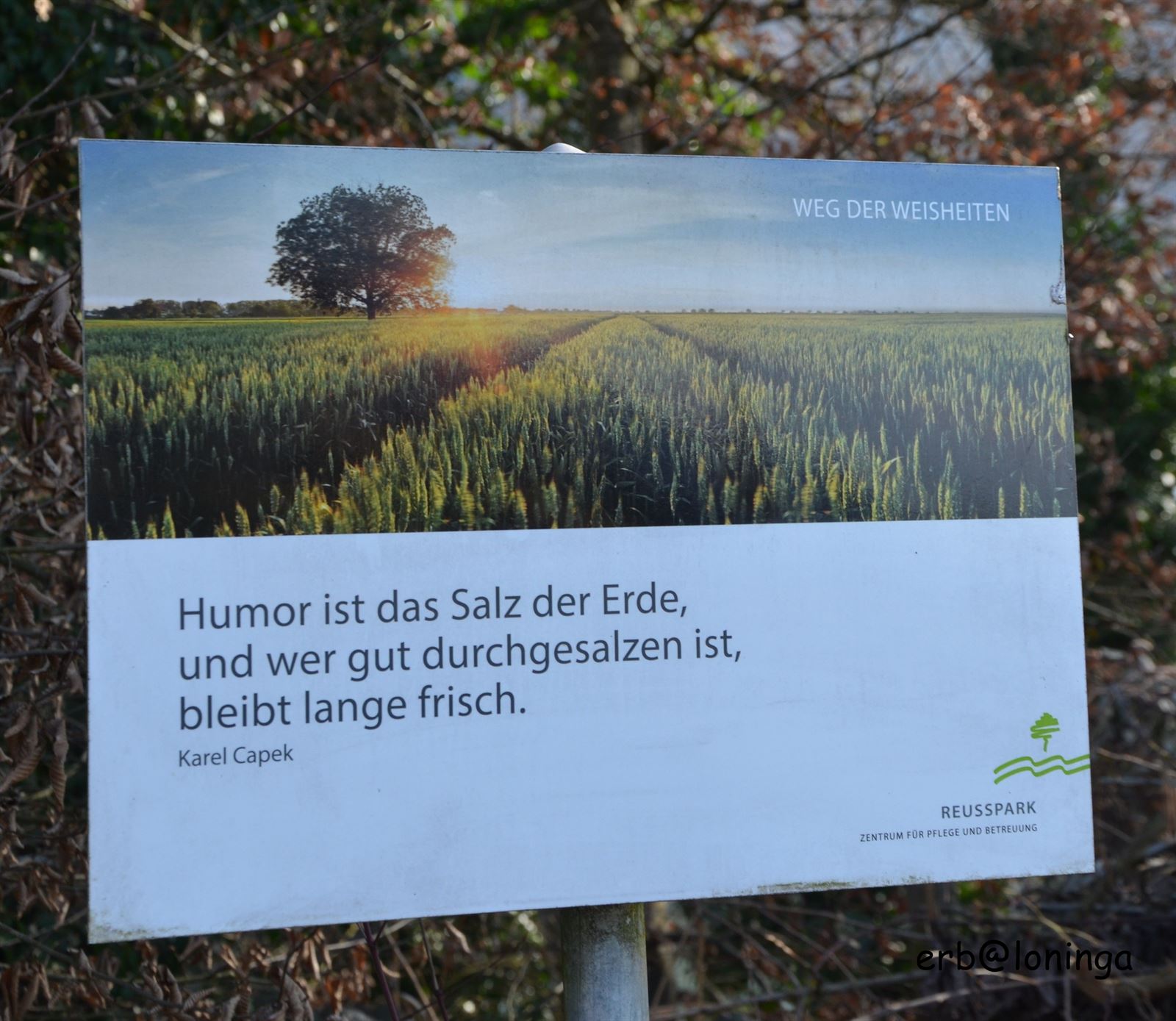 Weg der Weisheiten, die leider von Wenigen beachtet und gelesen wurden !!