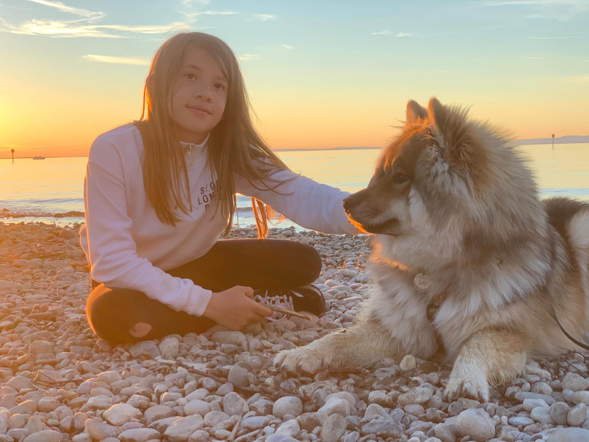 in der Abendsonne